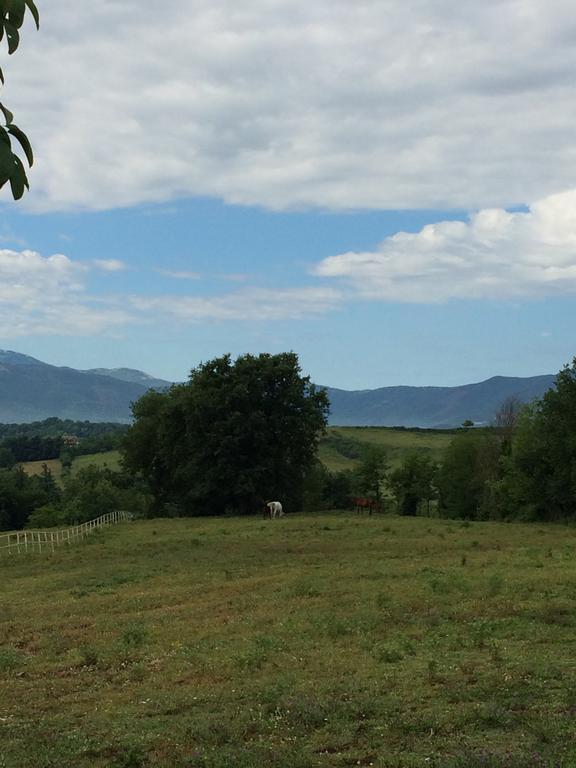 Tenuta Di Vico Moricino Anagni Cameră foto